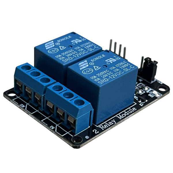 Module relais 2 canaux 12V