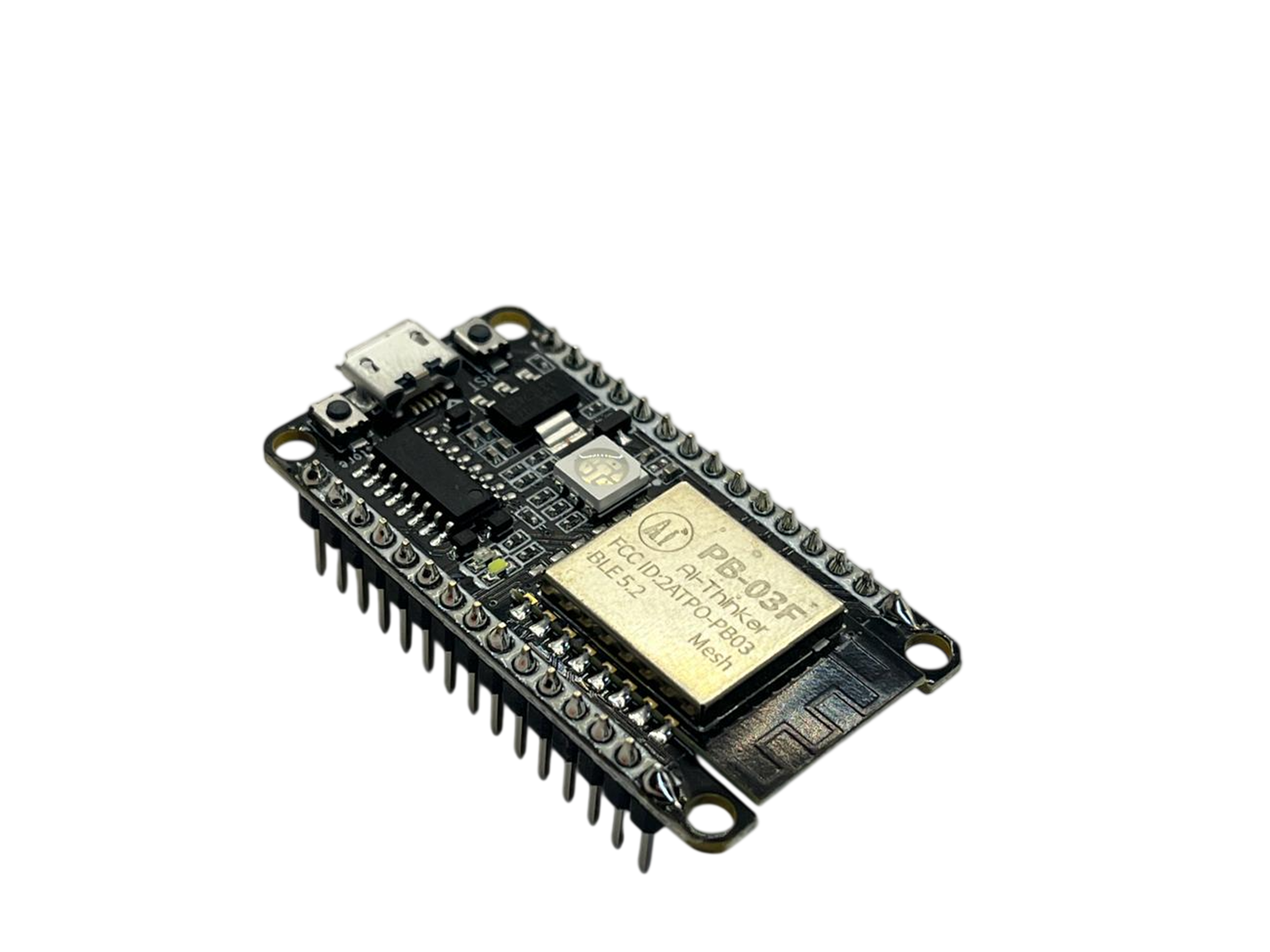 RAKSTORE PB-03F-KIT CARTE DE DÉVELOPPEMENT BLUETOOTH BLE 5.2