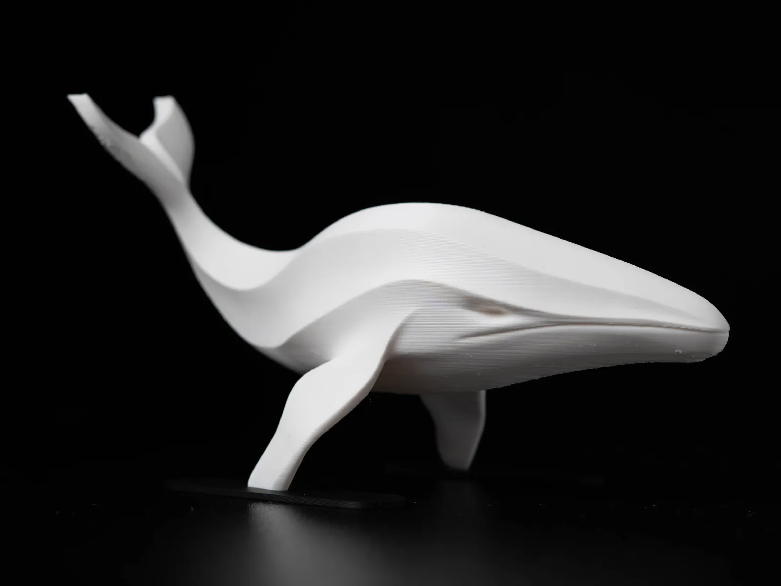 Baleine