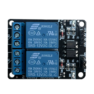 Module relais 2 canaux 12V