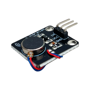 Module de vibreur