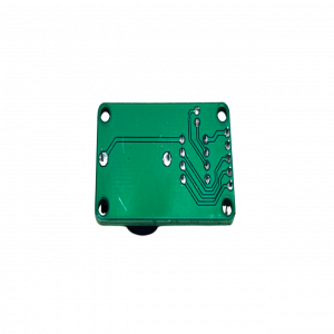Module RTC S1302