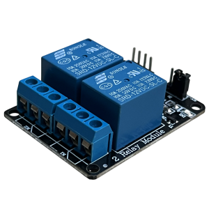 Module relais 2 canaux 12V