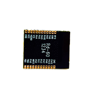 Module de détection humaine Ai-Thinker RD-60