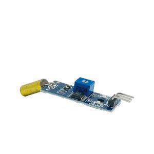 Capteur d'inclinaison (Module)