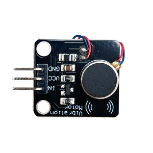Module de vibreur