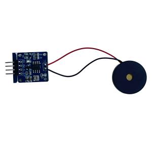 Capteur de choc piézoélectrique