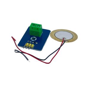 Capteur de vibrations piézo-électriques