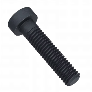 Vis basse profil (Low Profile) M5 x 55 mm