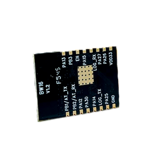 Module Wi-Fi double bande BW16 avec antenne intégrée Ai Thinker